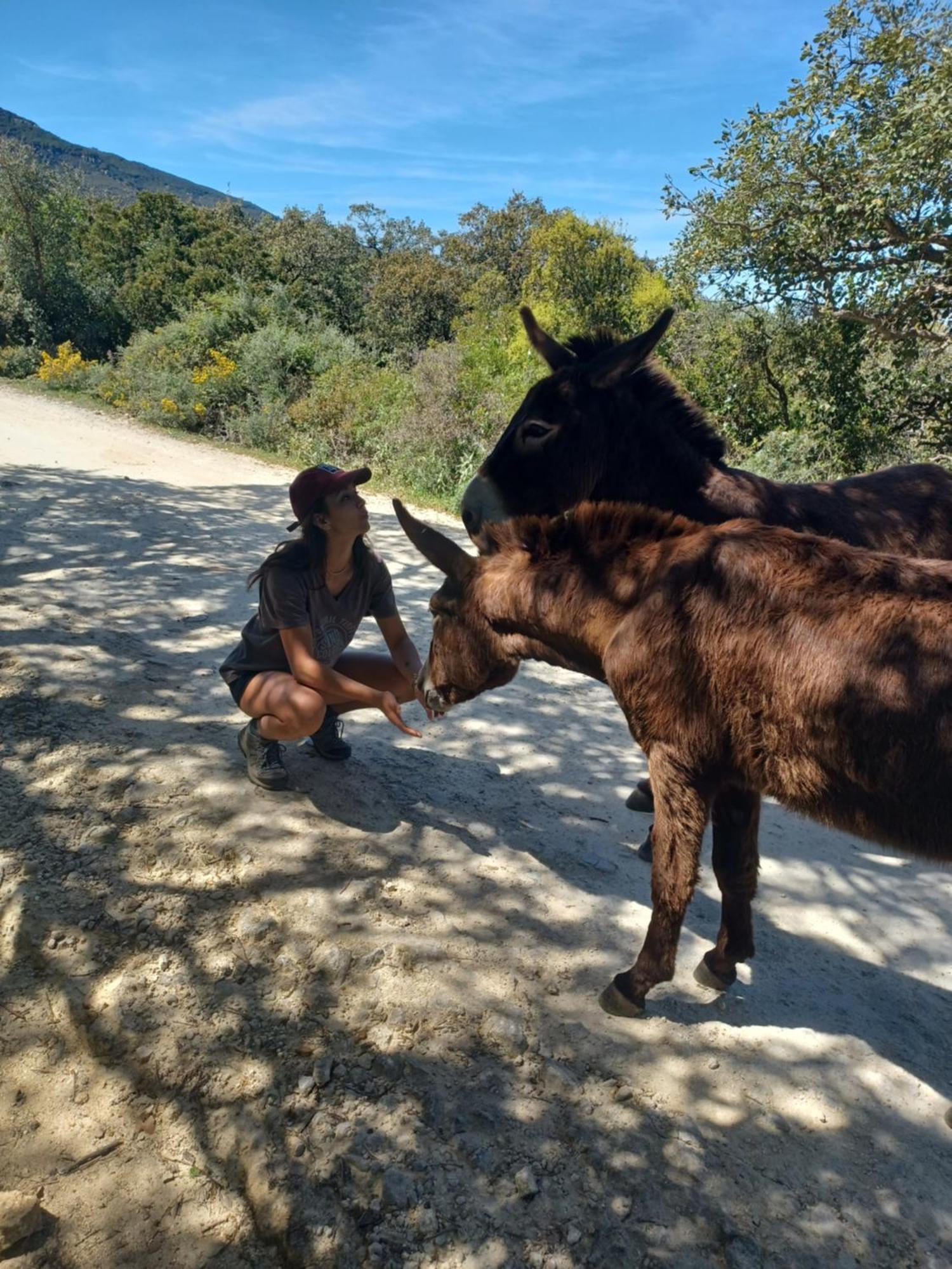 Complejo Rural Del Molino Dorado Villa Facinas Eksteriør bilde